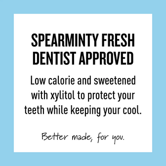 Peppersmith Spearmint  Xylitol Gum Mega Pouch 220 Stuks 330g