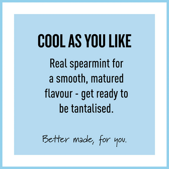 Peppersmith Spearmint  Xylitol Gum Mega Pouch 220 Stuks 330g