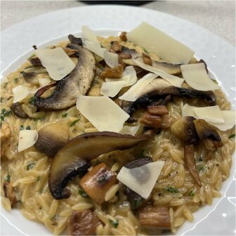 Green Vie Parveggio Flakes 100g