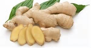 Maussi kruiden Kentjoer, kencur  gemalen 50g