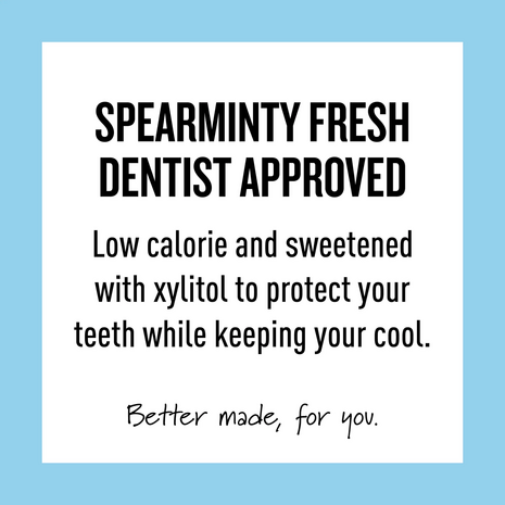 Peppersmith Spearmint  Xylitol Gum Mega Pouch 220 Stuks 330g