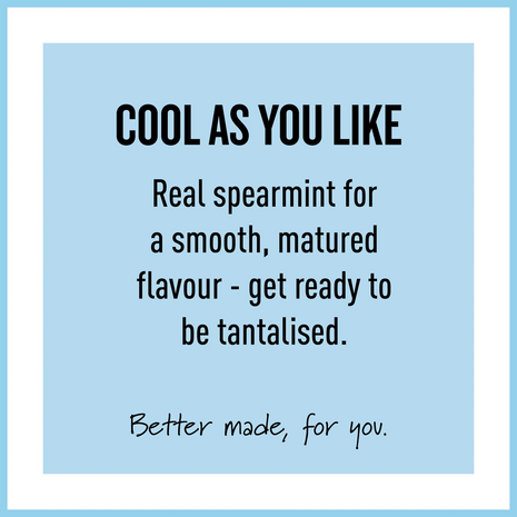 Peppersmith Spearmint  Xylitol Gum Mega Pouch 220 Stuks 330g